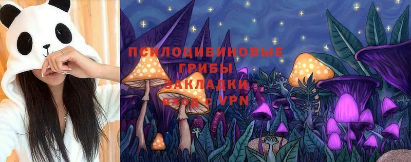 маркетплейс официальный сайт  Калининец  Галлюциногенные грибы Psilocybe  хочу наркоту 